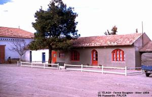 Palica - Le Telagh 032